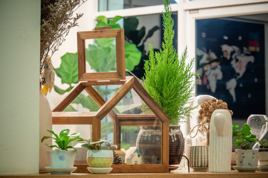 Plants enhance learning