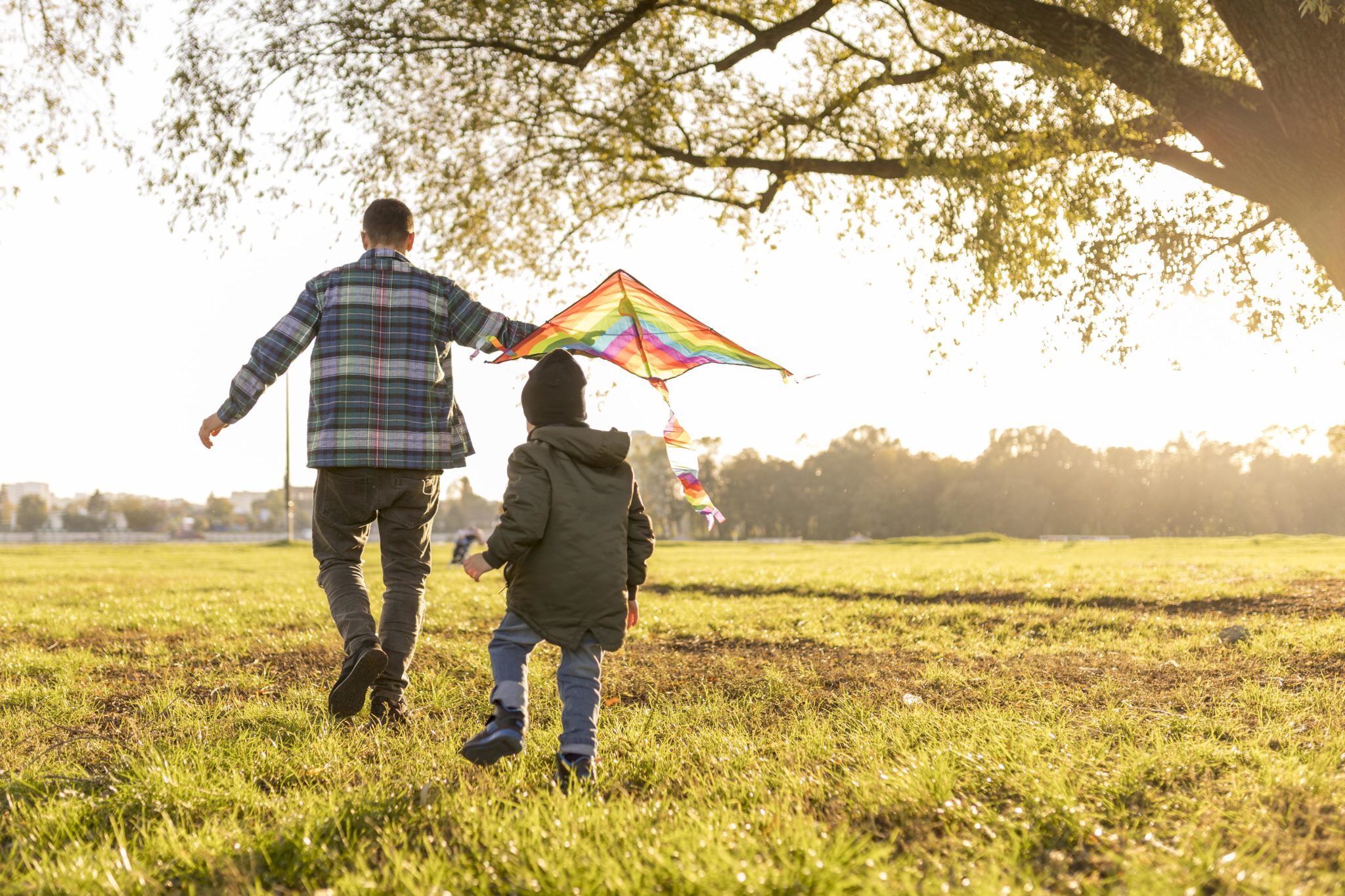 Father and son playing with a kite in a field in the summer