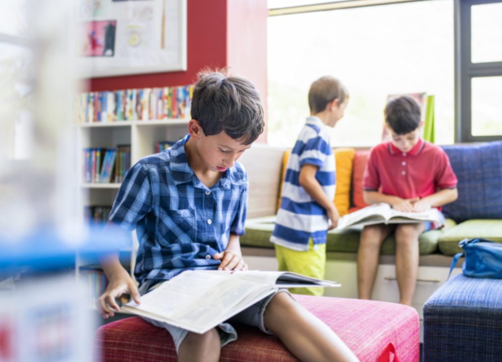 Boys reading at home