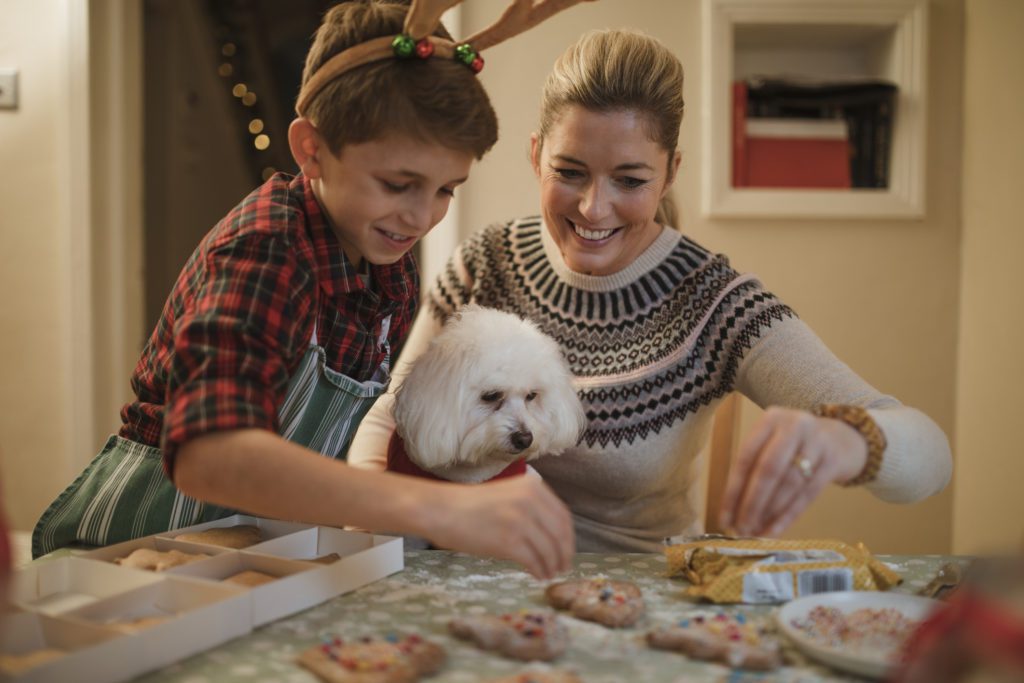 A mother, son and dog bake winter cookies